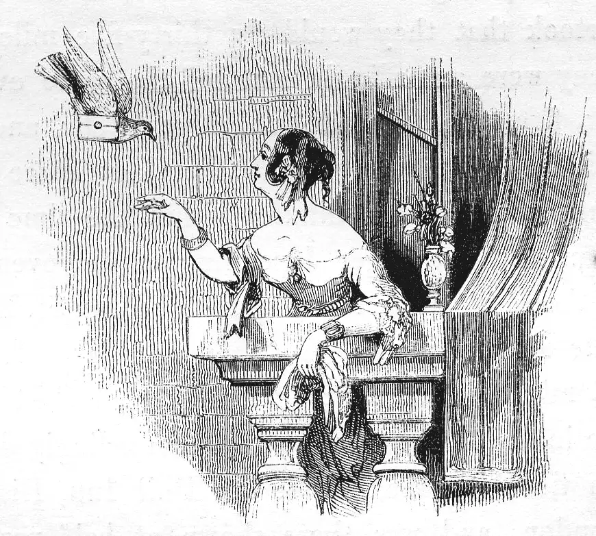 Viñeta en madera de William Yarrell, A History of British Birds, primera edición, 1843.